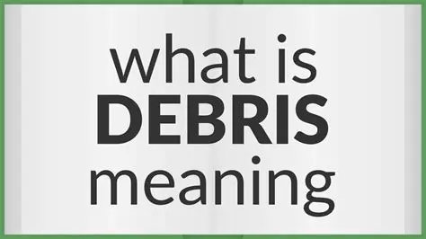 Identifying the Word that Tells the Meaning of Debris