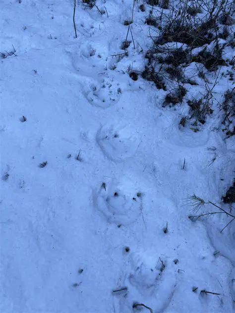 Identifying Unknown Tracks