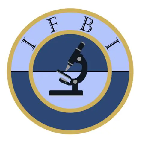 Unraveling the Mystery: A Deep Dive into IFBI International S01E01