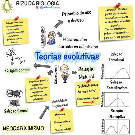 Ilustrar conceitos e teorias