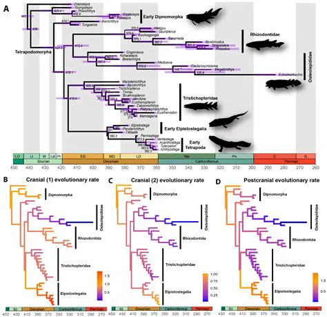 Image of the Phylogenetic Tree