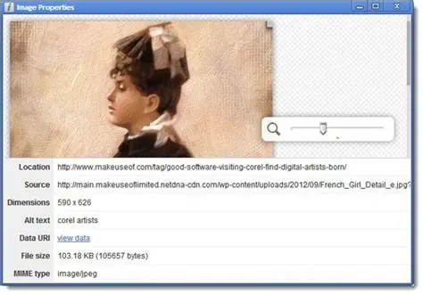 Image Properties Context Menu