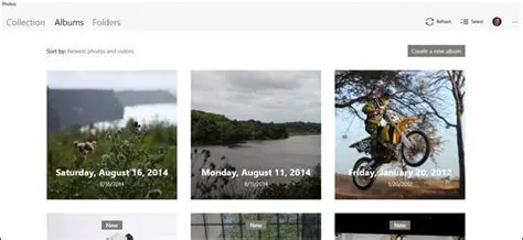 Image Viewing and Management