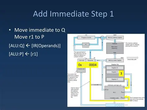 Immediate formulation of implementing regulations