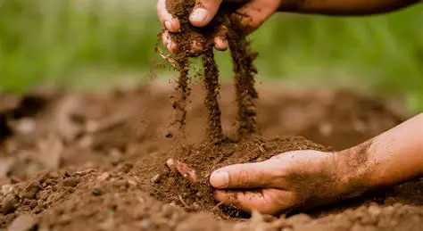 Impacto na qualidade do solo