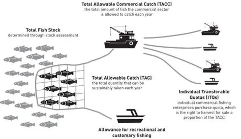 Implement capture quota and supervise fishing gear