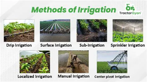 Implement efficient irrigation practices