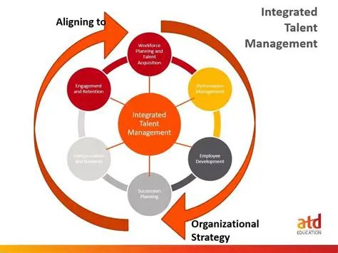 Implement talent management strategies