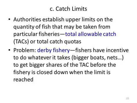 Implementing catch limits and quotas
