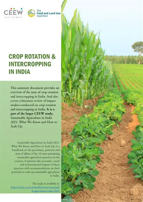 Implementing crop rotation and intercropping