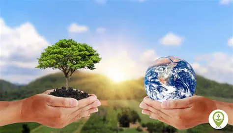 Implementing Environment Preservation Options