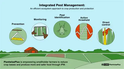 Implementing integrated pest management