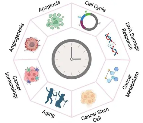 Implications of Resistance on Clock Performance