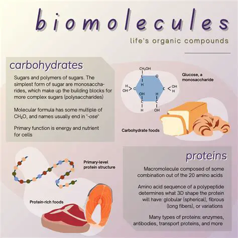 Importance of Biomolecules in Maintaining Optimal Health