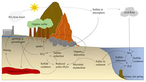 Importance of Sulfur Charge in Chemistry