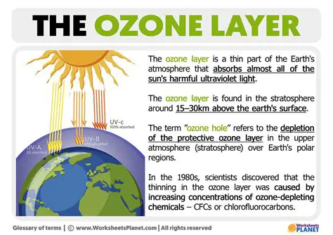 Importance of the Ozone Layer