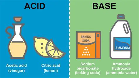 Importance of Understanding Acids and Bases