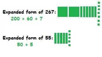 Importancia de la Forma Expandida
