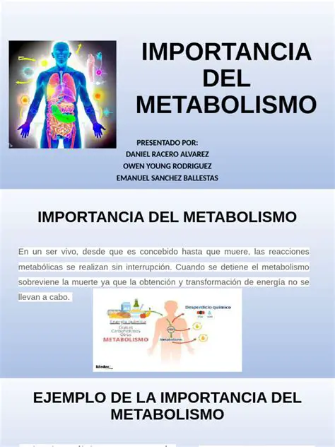 Importancia del Metabolismo