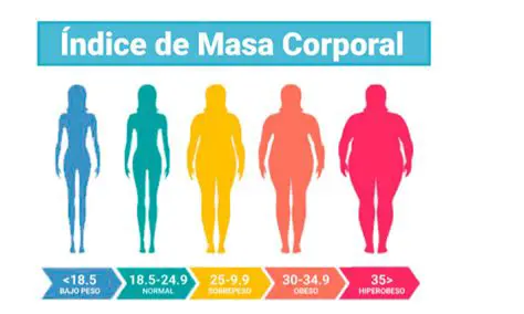 Importancia del Rango de Peso