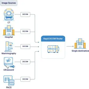 Importing and Managing DICOM Data