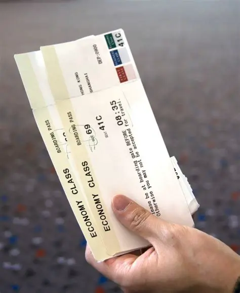 Imprime o descarga la tarjeta de embarque