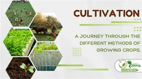 Improve cultivation practices