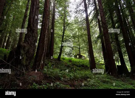 Improve recreational opportunities