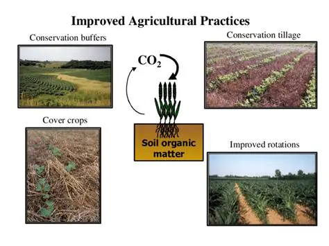 Improved Agricultural Practices