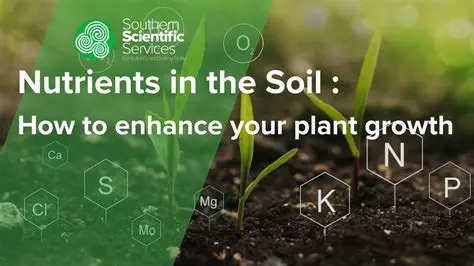 Improved Chemistry of Soil Nutrients