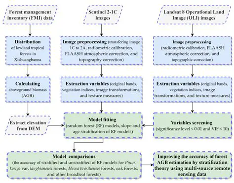 Improving AGB Estimation Models