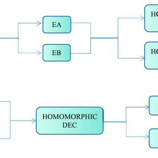 Improving the efficiency of homomorphic evaluation