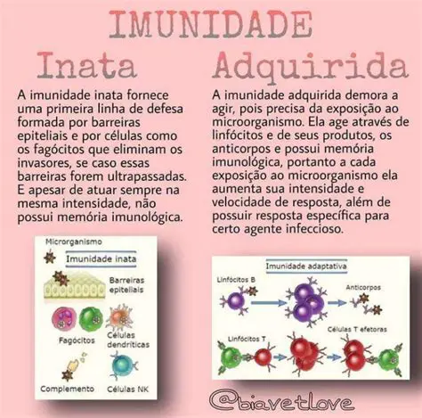 Imunidade inata e adaptativa