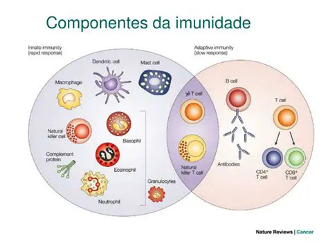 Imunidade Natural ou Inata