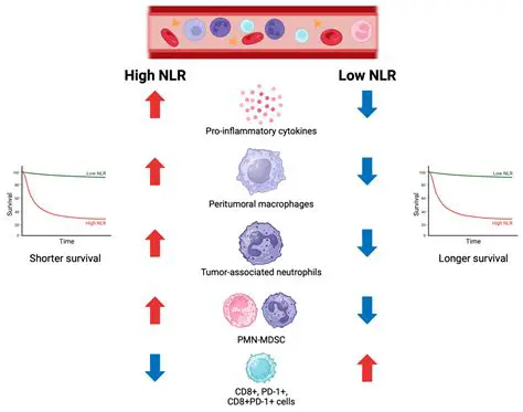 Incorporation of NLR measurements into clinical practice