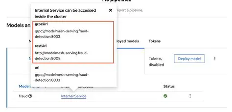 Incorrect Model Service URL