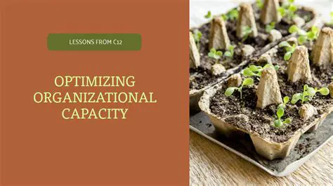 Increase organizational capacity