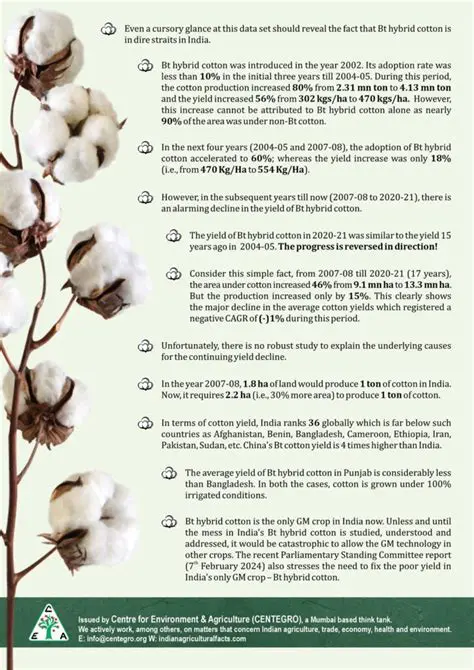 Increased cotton production