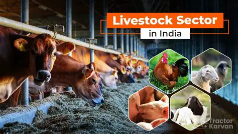 Increased investment in the livestock sector