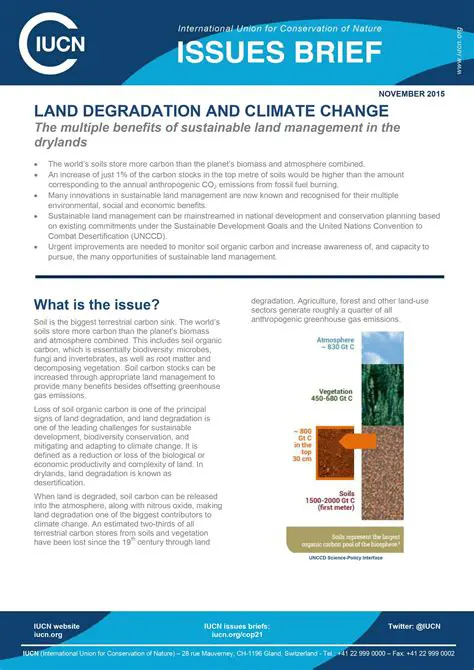 Increased land degradation