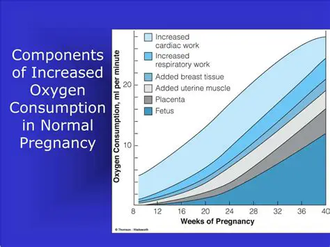 Increased Oxygen Consumption