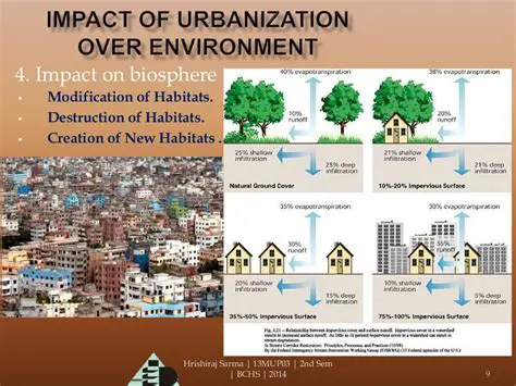 Increased Population and Urbanization