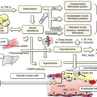 Increased risk of complications