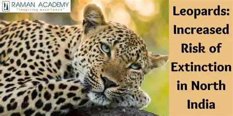 Increased risk of extinction