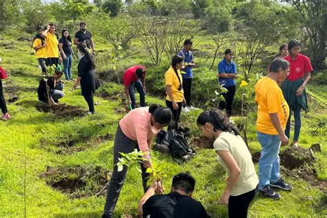 Increasing the Efficiency of Plantation Management