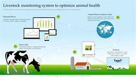 Increasing the Production and Quality of Livestock