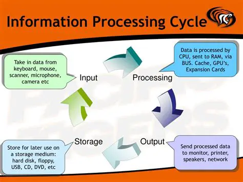 information processing cycle