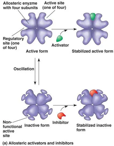 Inhibiting Enzymatic Activity