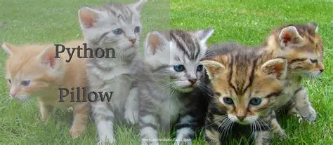 Instalando a biblioteca Pillow