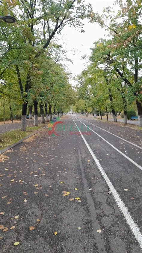 Insusiri ale Ramurilor Crang Parfum